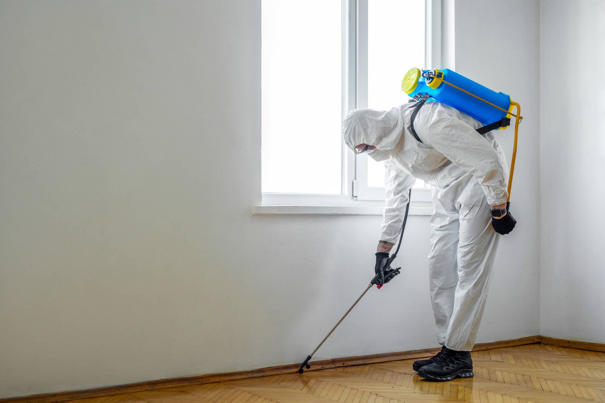 Pest Control crew at work